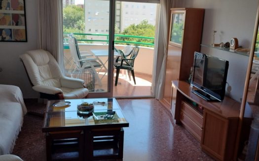 Estudio playa Gandia, Valencia.