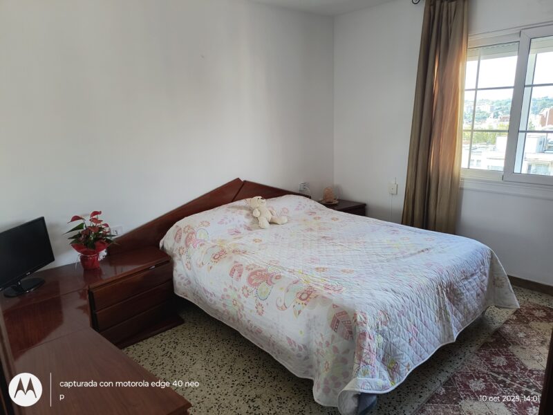 Piso compartido / Roommate