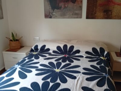 Alquilo habitación amplia con cama grande donde podrás relajarte y/o trabajar con tranquilidad, ventanas aislantes oscilo batientes, TV, WiFi. En un bulevar precioso con todos los servicios necesarios. Apartamento para disfrutar