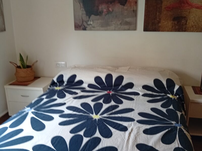 Alquilo habitación amplia con cama grande donde podrás relajarte y/o trabajar con tranquilidad, ventanas aislantes oscilo batientes, TV, WiFi. En un bulevar precioso con todos los servicios necesarios. Apartamento para disfrutar